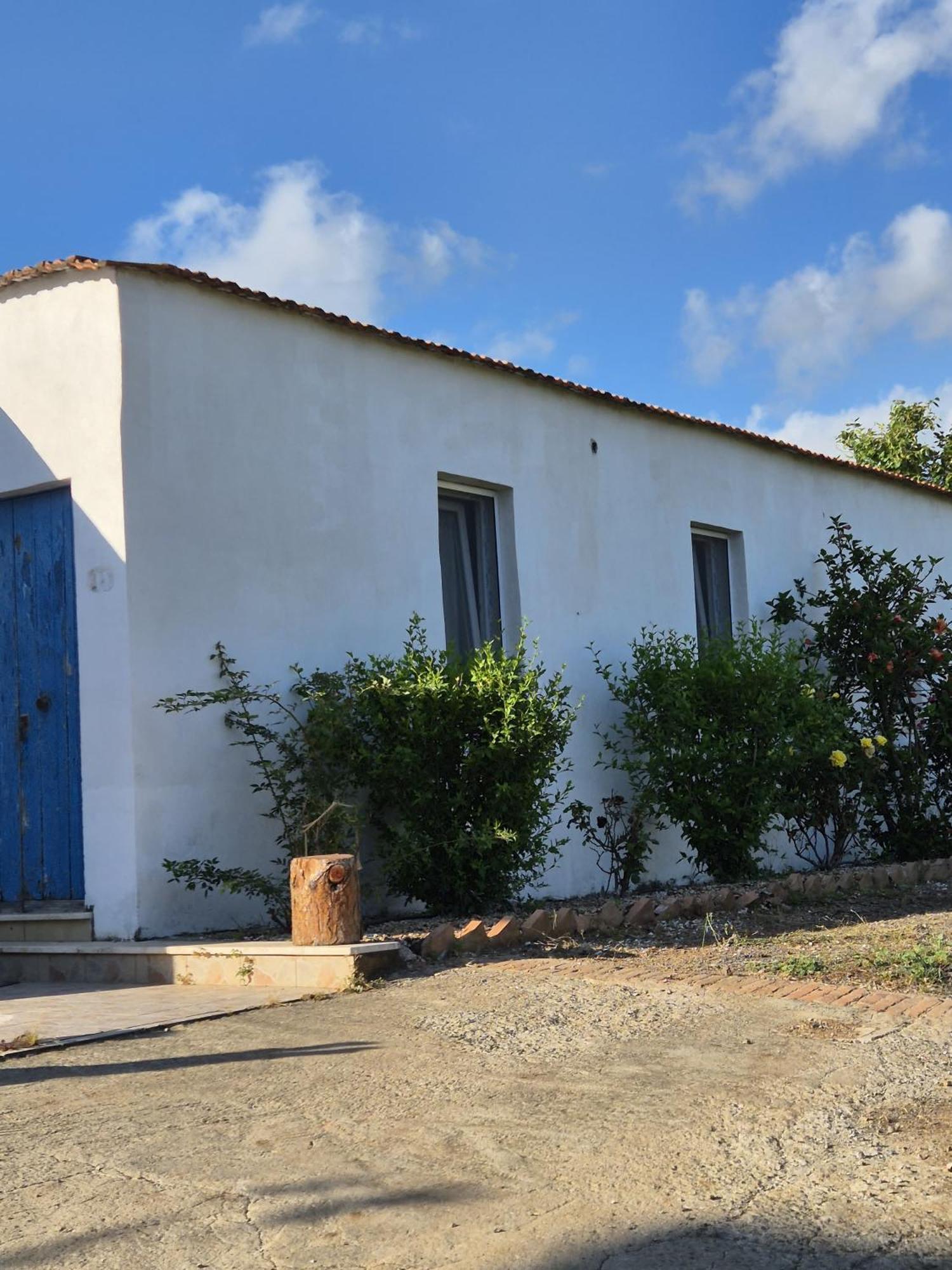 Villa Elvira Country House Belvedere Marittimo Exterior foto