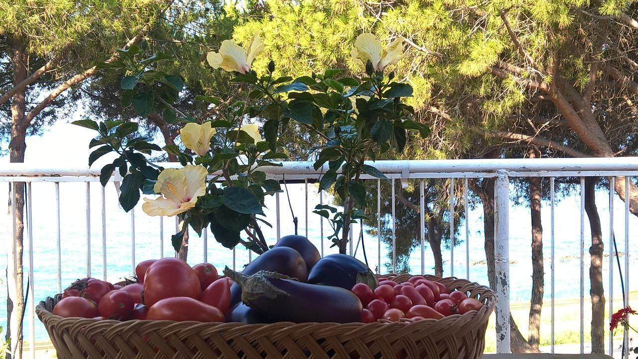 Villa Elvira Country House Belvedere Marittimo Exterior foto